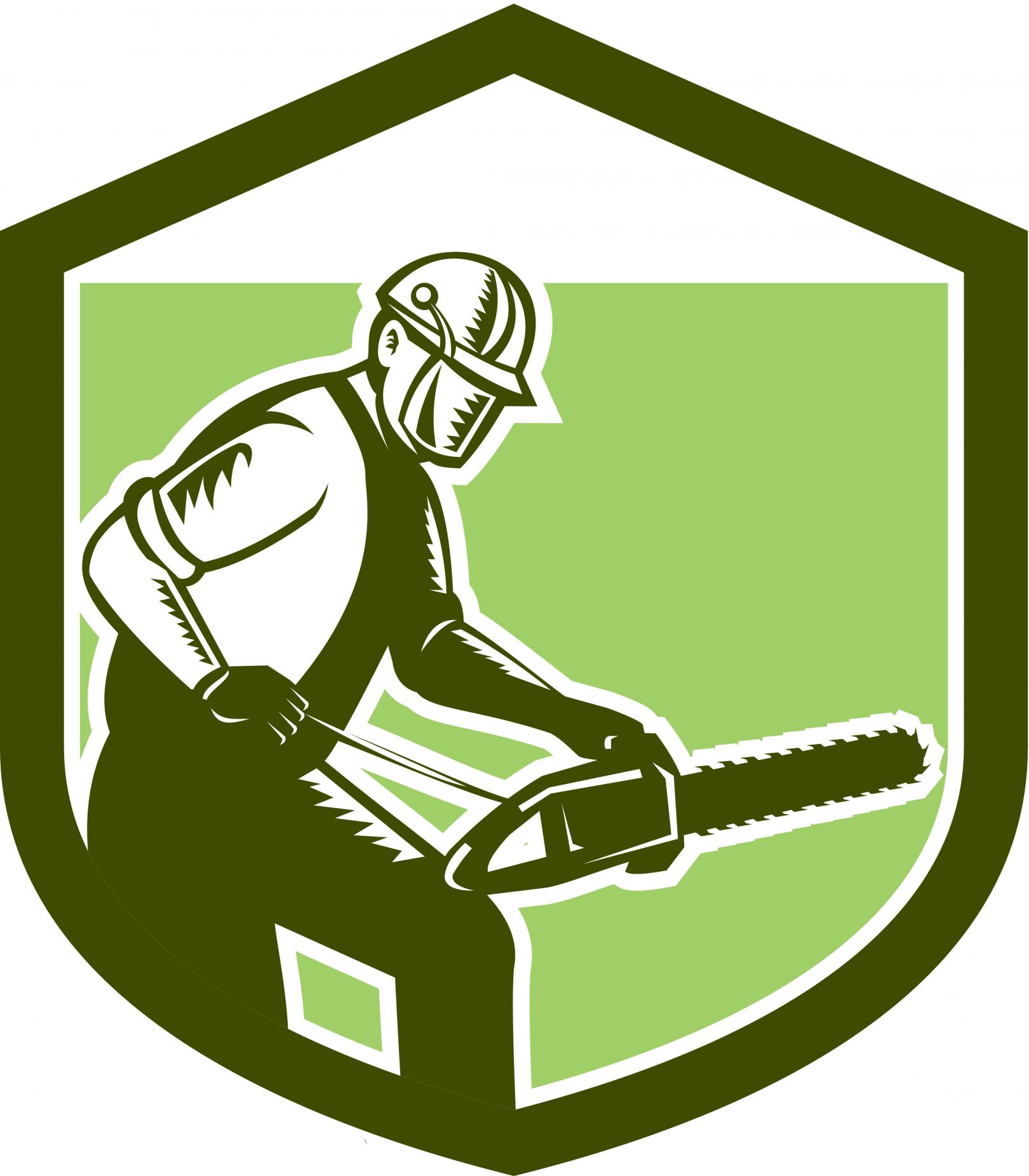 Connecticut Tree Service gallery 2